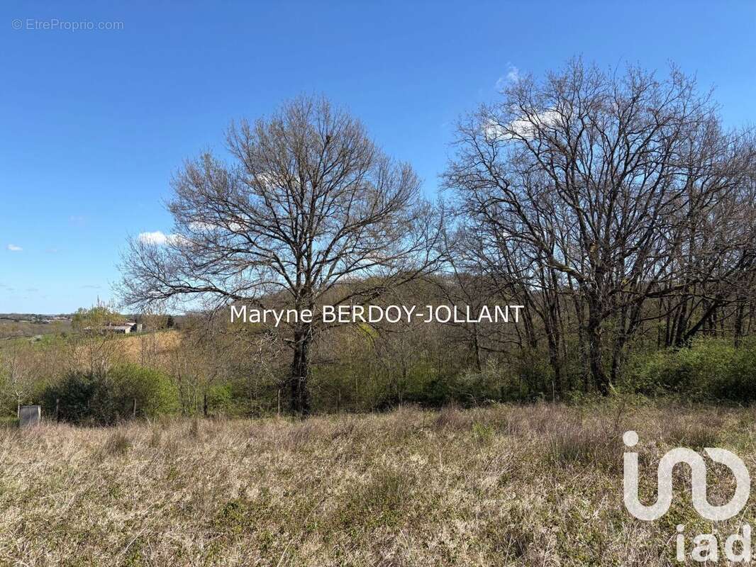 Photo 3 - Terrain à AUBIAC