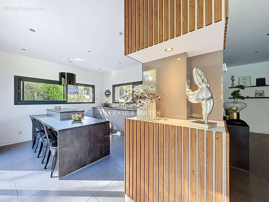 Maison à SAINT-ROMAIN-AU-MONT-D&#039;OR