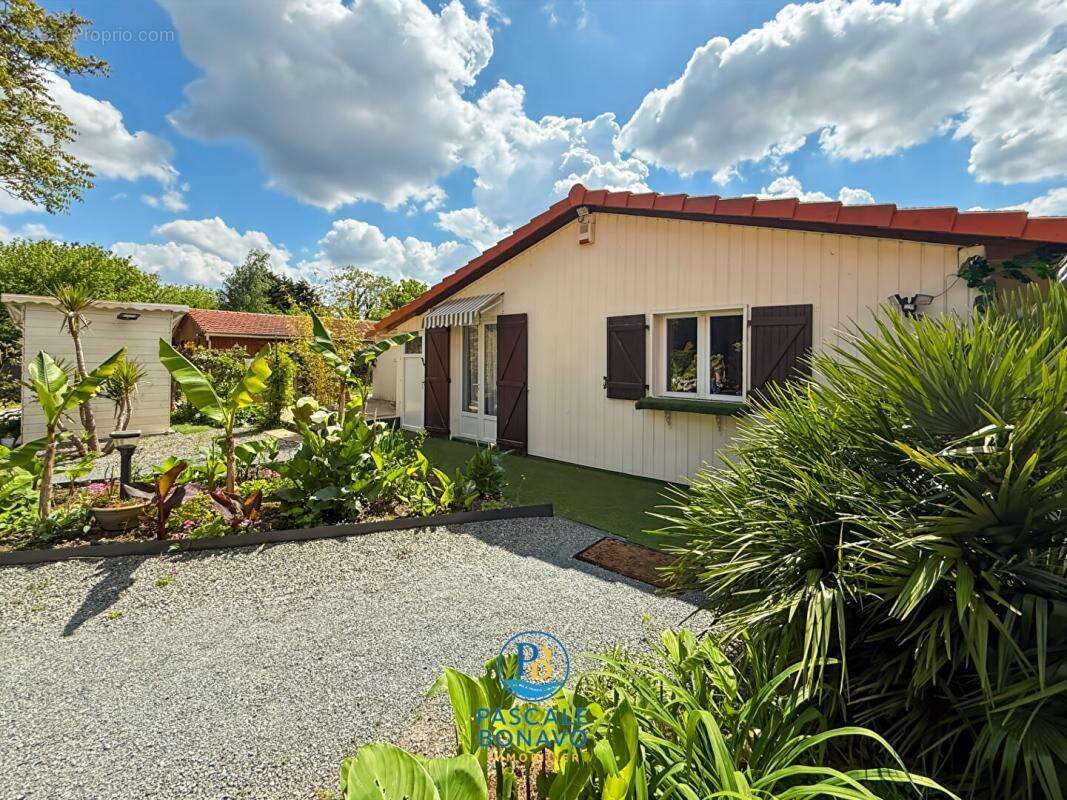 Maison à VENDAYS-MONTALIVET