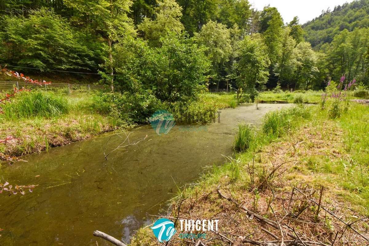 Maison à BAERENTHAL