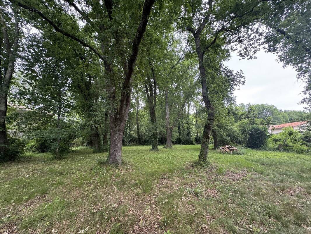 Maison à LE TAILLAN-MEDOC