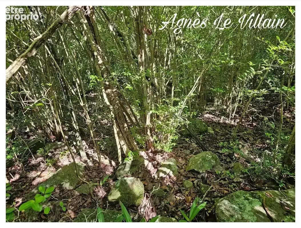 Terrain Borné 2 382 m2 à Massieux - photo 5
