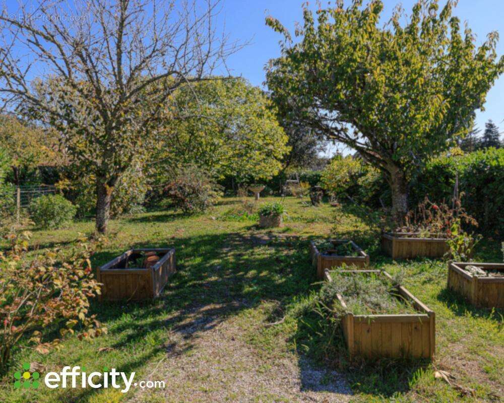Maison à VILLEFRANCHE-DE-LONCHAT