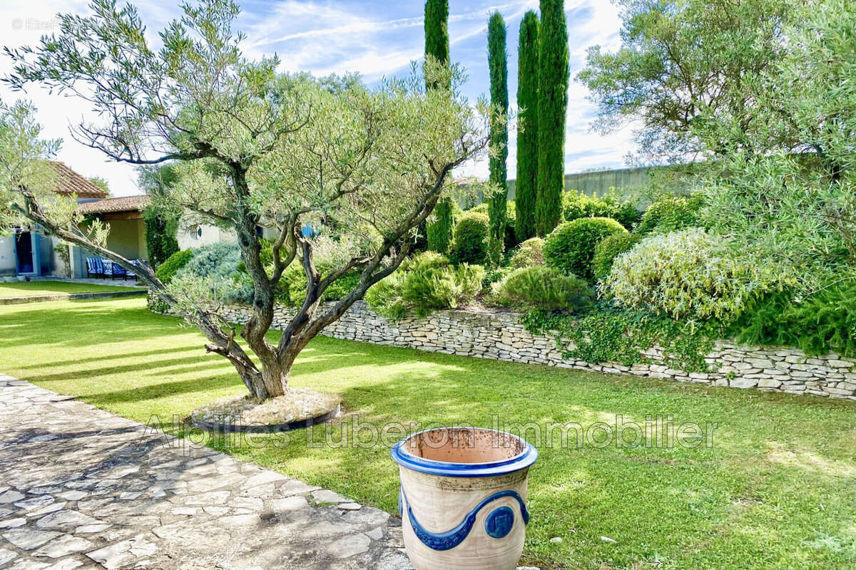 Maison 171 m² à Saint-Remy-De-Provence  - photo 5