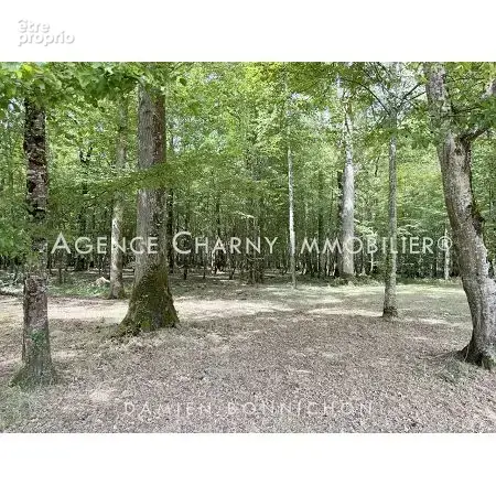 Maison 5 pièces 95 m² à vendre à Saint-Fargeau (89170) - photo 6