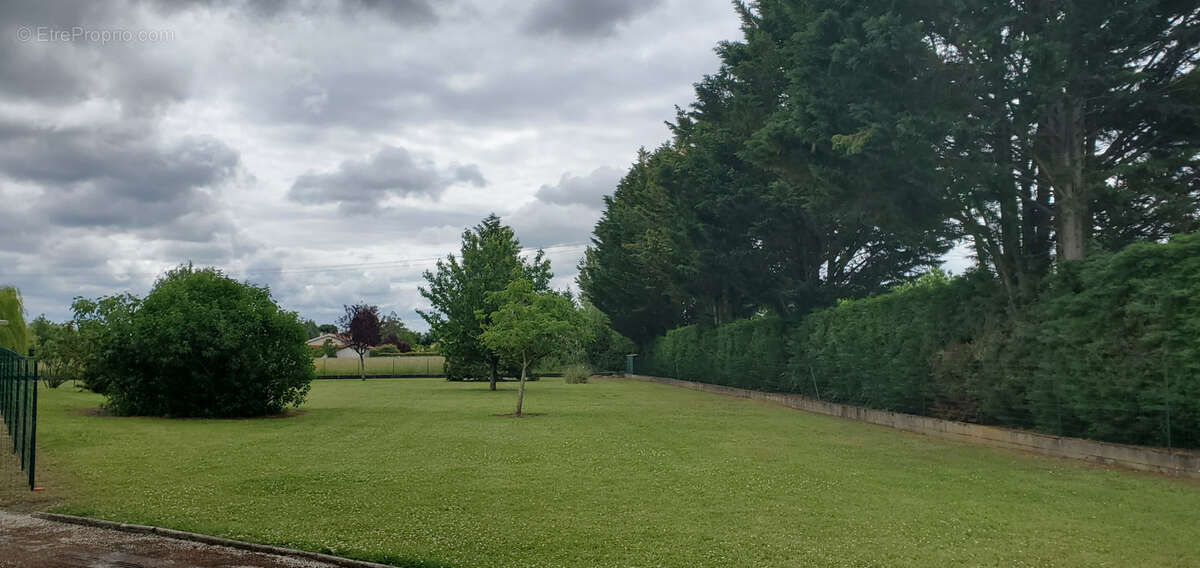 Terrain à GAILLAC