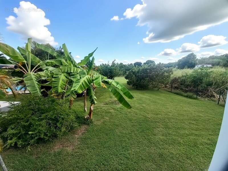 Maison à ANSE-BERTRAND