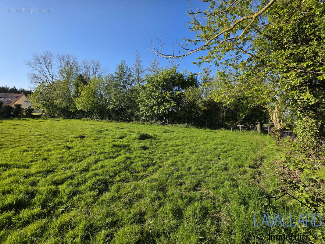 Terrain à BEAUQUESNE