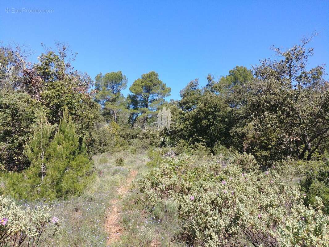 Terrain 31060 m² à Aups  - photo 27