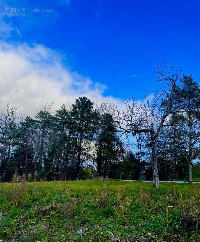 Terrain à CHAMPCEVINEL