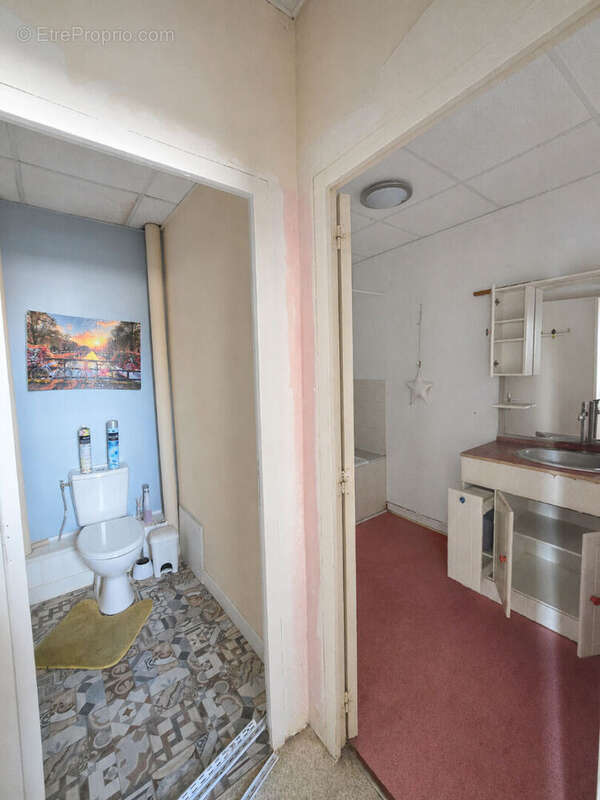 Maison 310m² à rezé - photo 17