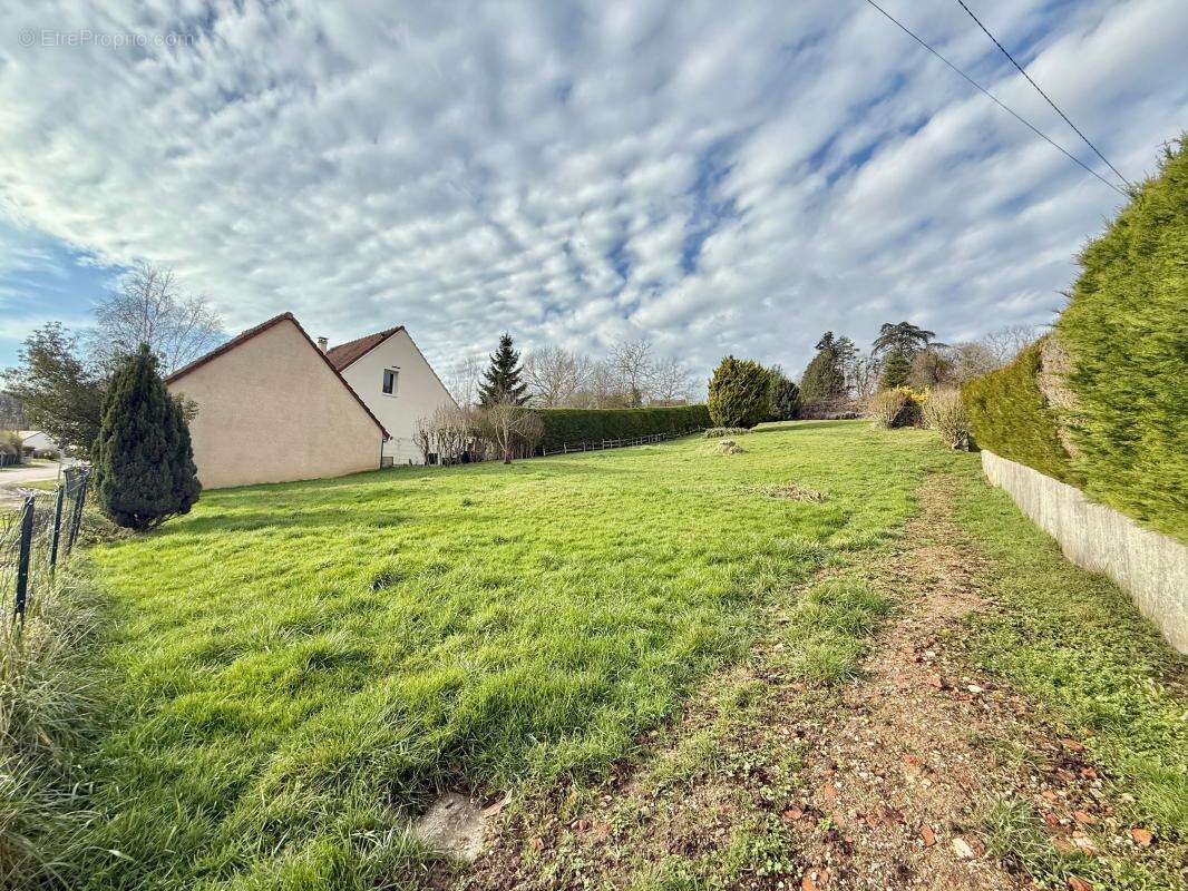 Terrain à AUVILLARS-SUR-SAONE