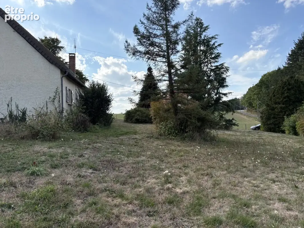 Coussac Bonneval Maison de campagne de 5 pièces de plain-pied, garage et grand terrain - photo 24