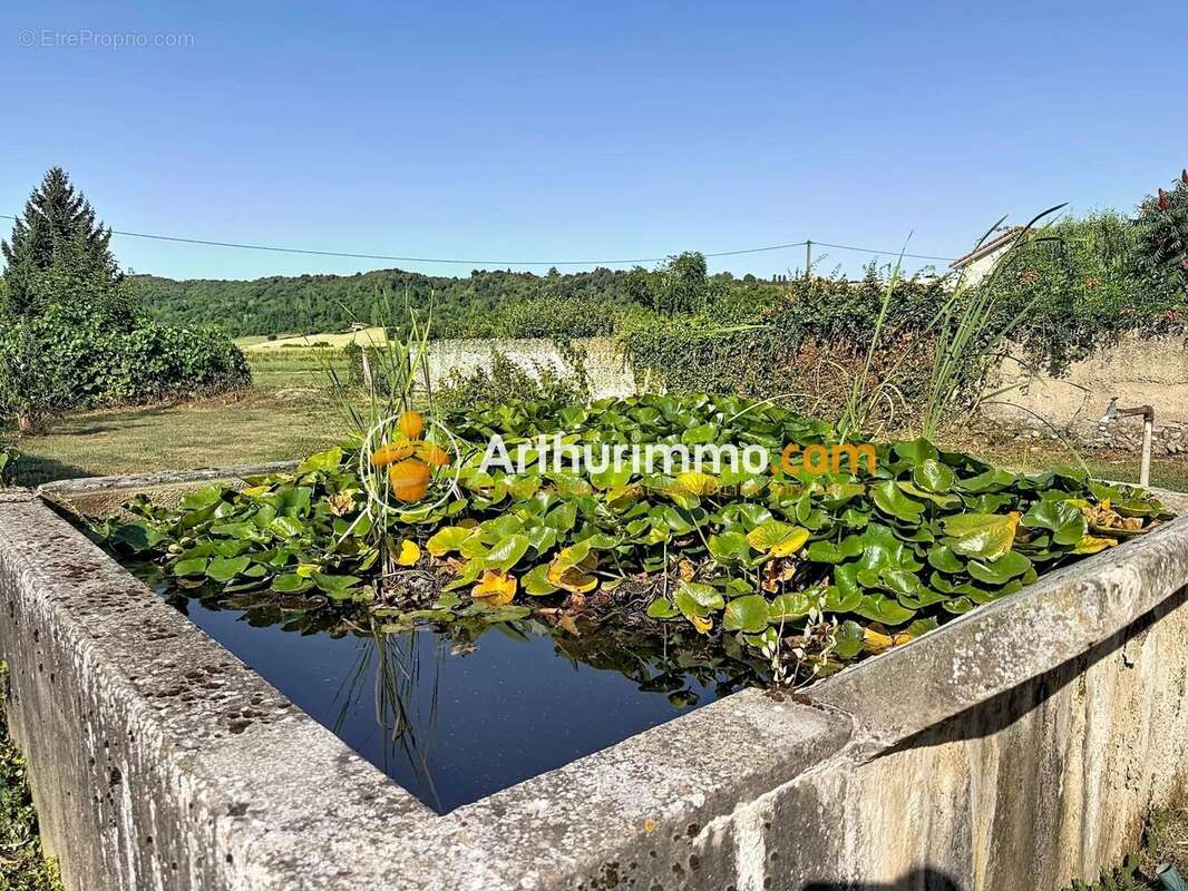 Vente Maison Beauvoir-de-marc(38440) 209 000ï¿œ - photo 3