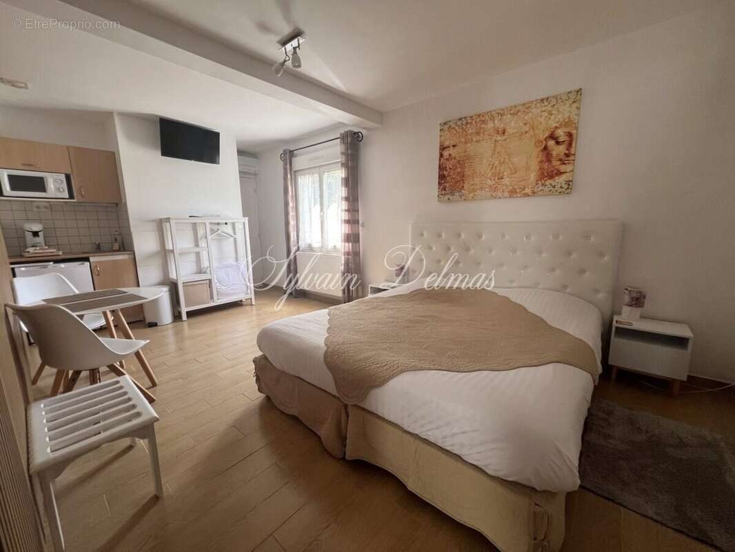 Propriete à vendre 32 pièces AMBOISE (37) - photo 21