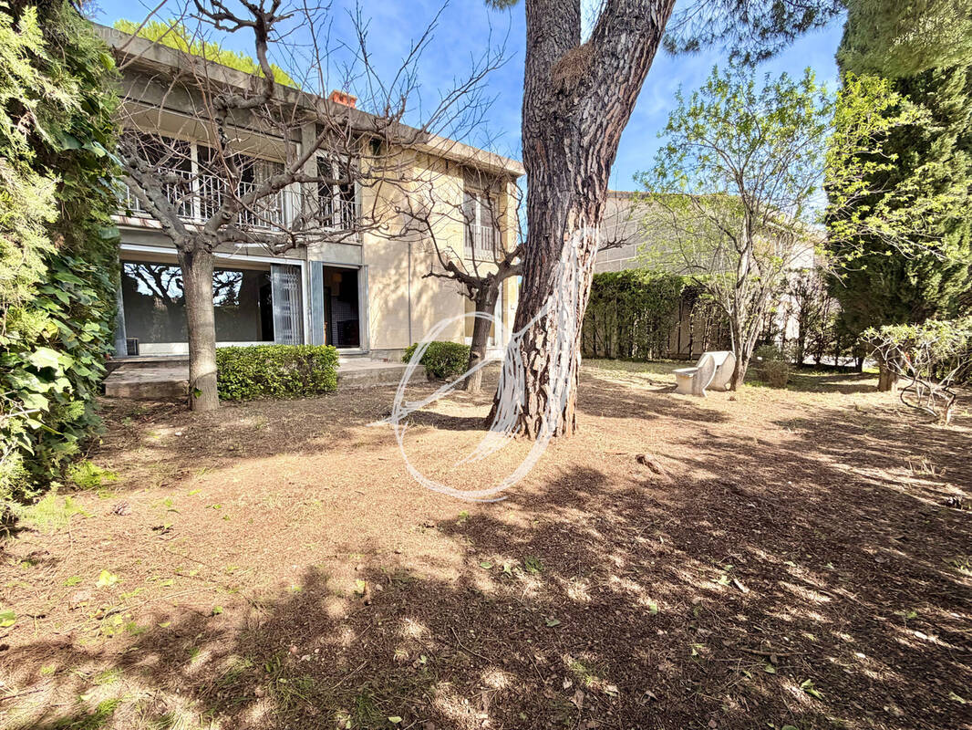 Maison à MONTPELLIER