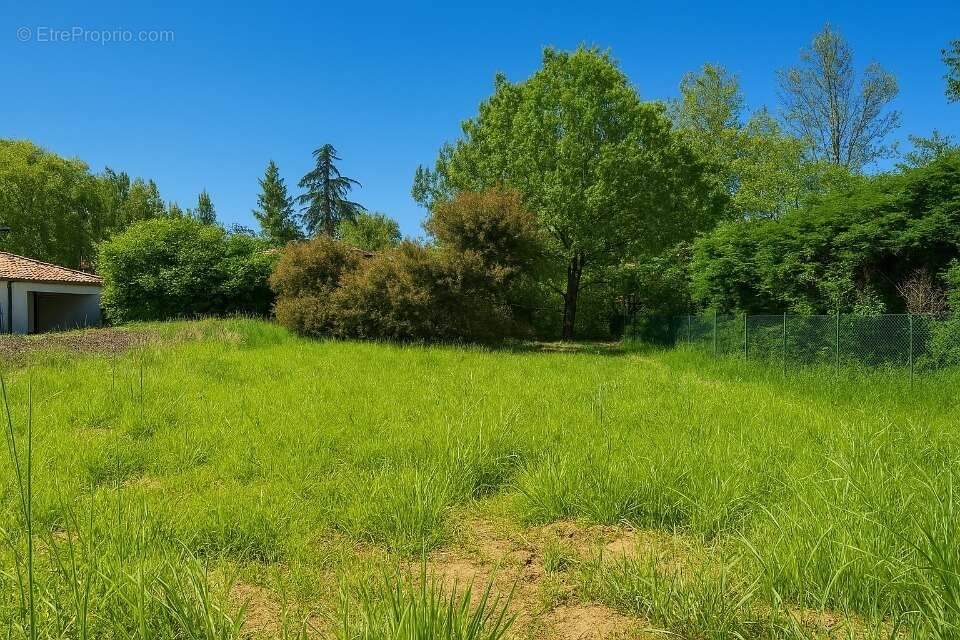 Terrain à SAINT-JEAN