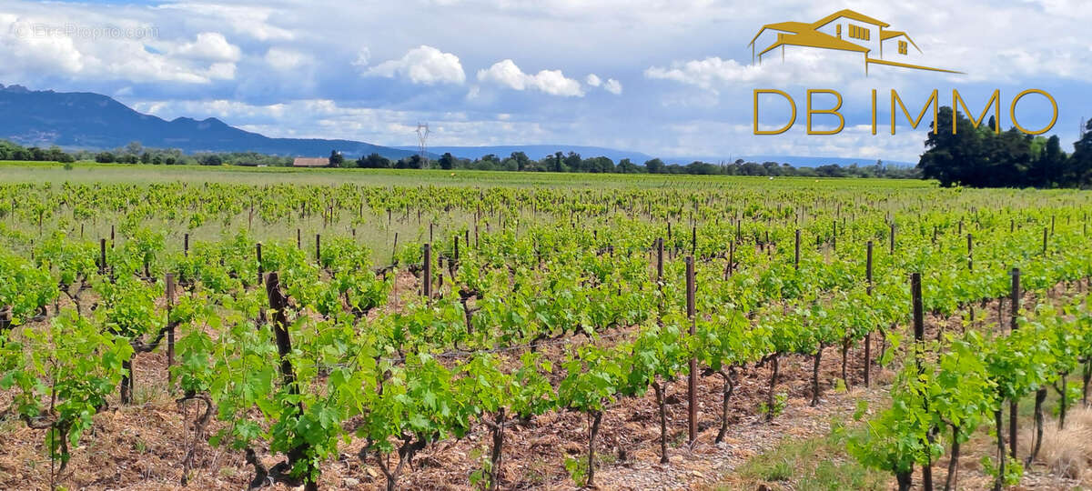 Terrain à SAINTE-CECILE-LES-VIGNES
