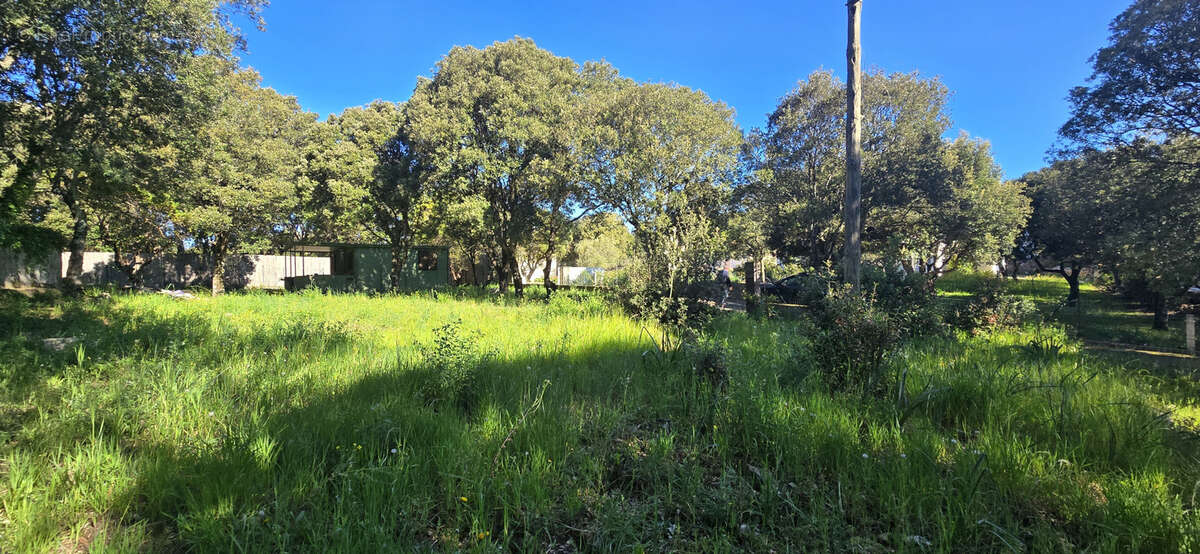 Terrain à GIUNCHETO