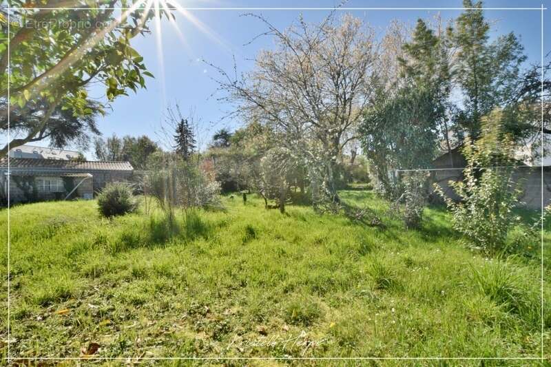 Maison à vendre 5 pièces NANTES (44) Sainte Thérèse - 131m2 - Terrain 1000m2 - photo 4
