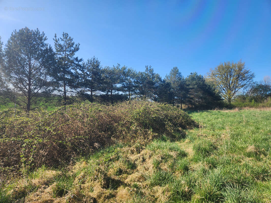 Terrain 4200 m2 Saint-Mards-en-othe. - photo 2