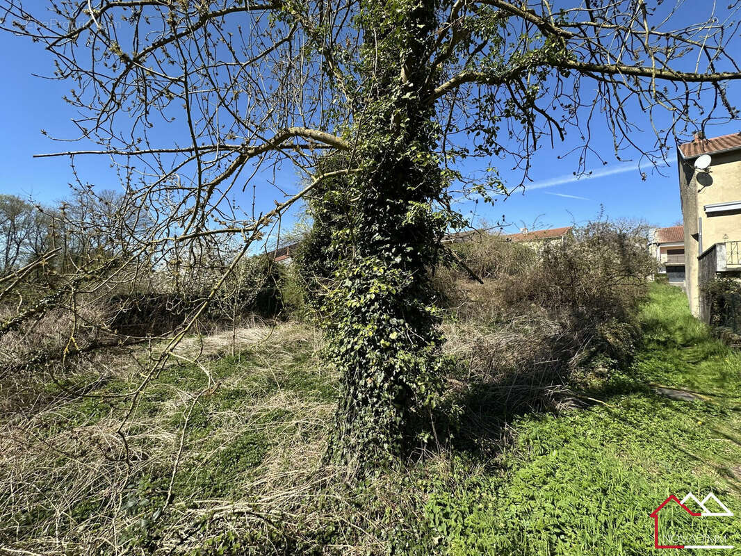 Terrain à HAUTE-VIGNEULLES