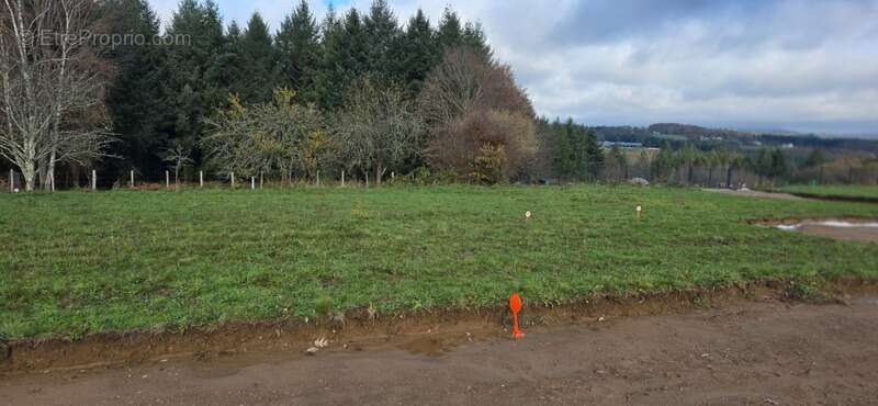 Terrain à LE PALAIS-SUR-VIENNE