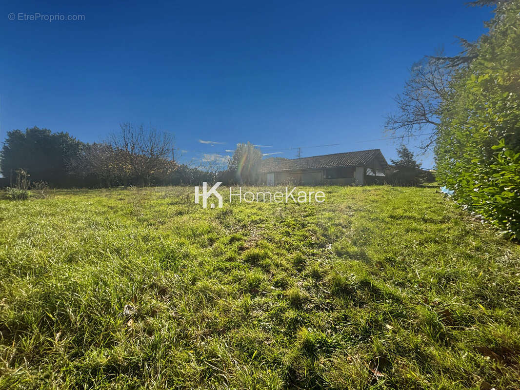 Maison à MONTESQUIEU-VOLVESTRE