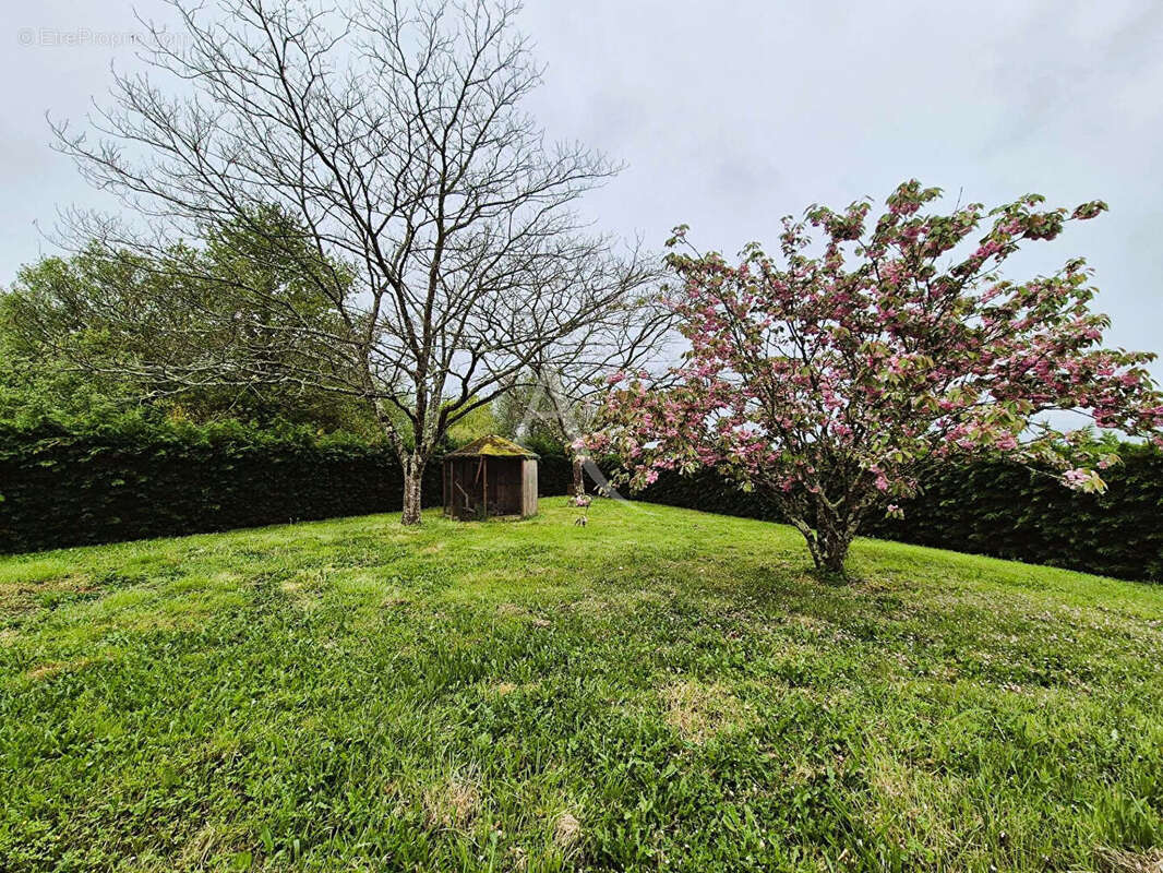 Maison à VILLENEUVE-DE-MARSAN