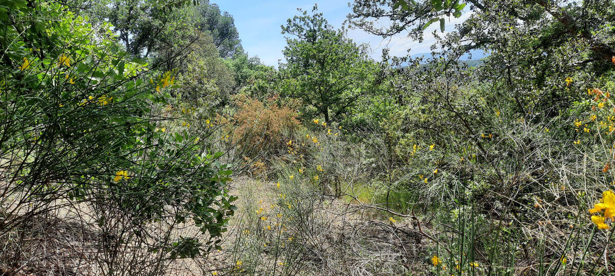 Terrain à REYNES