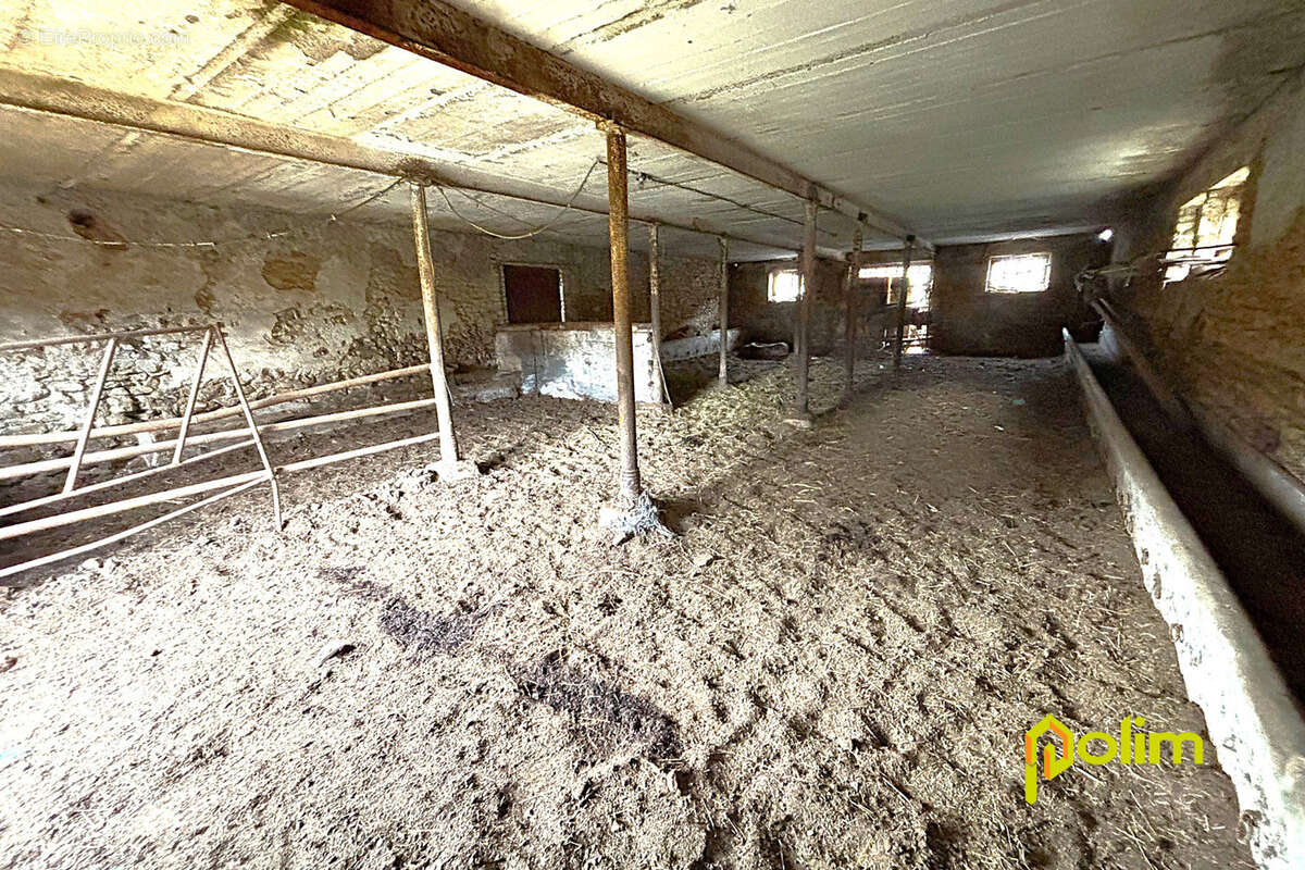 Idéal investisseur - photo 13