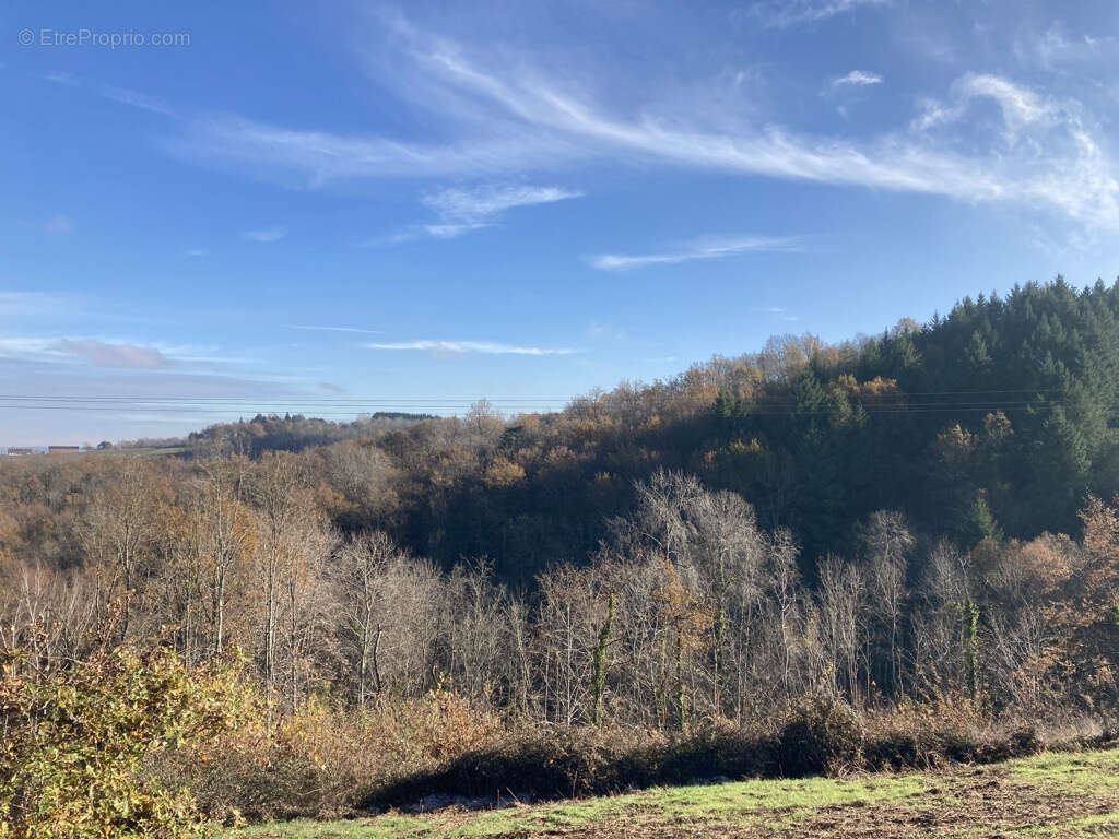 Terrain à SAINT-CYPRIEN