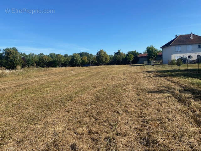 Terrain à MARINGUES