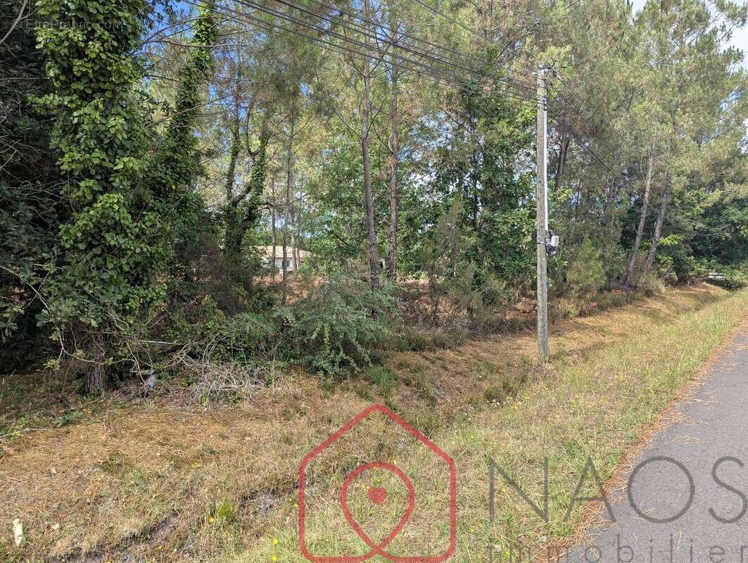 Terrain à PARENTIS-EN-BORN