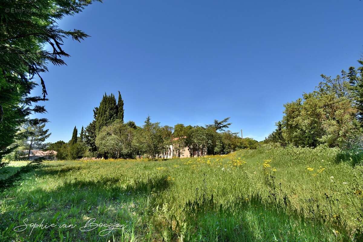 Terrain de 2 846 m² viabilisé à EGUILLES (13) – Vente en totalité ou par lot de 1 423 m² - photo 3