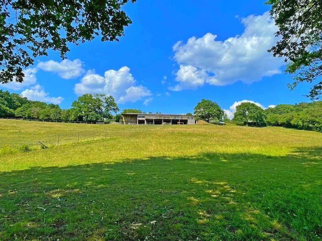 Exclusivité – Bourgogne, Morvan des Lacs – Secteur DUN-LES-PLACES - Une propriété de plus de 15 hectares, idéale pour une activi - photo 19