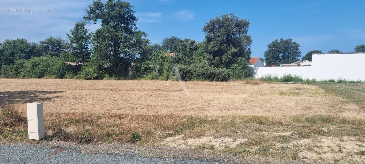 Terrain à COMMEQUIERS