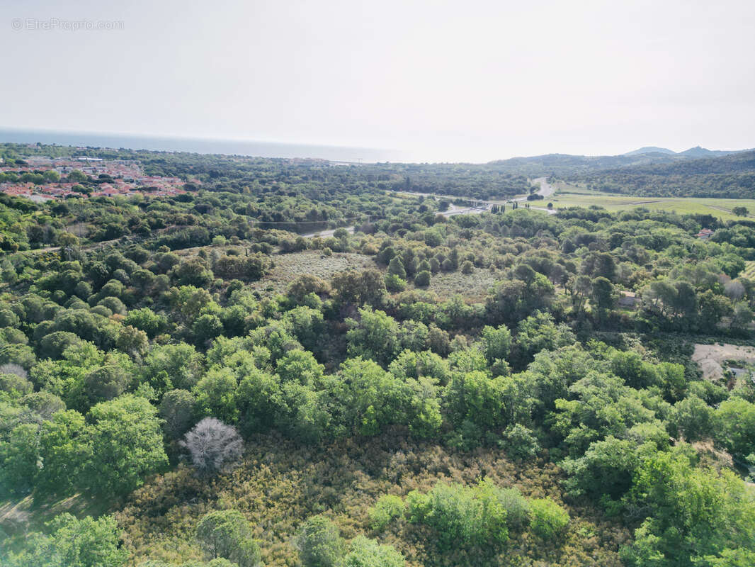 Terrain à ARGELES-SUR-MER