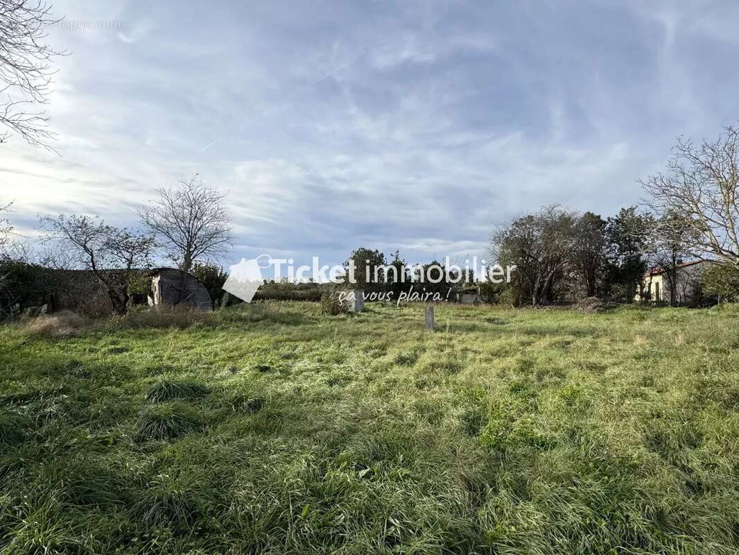 Terrain à MONDONVILLE