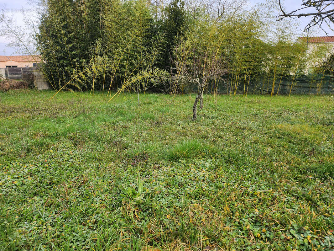 Terrain constructible non viabilisé - photo 2