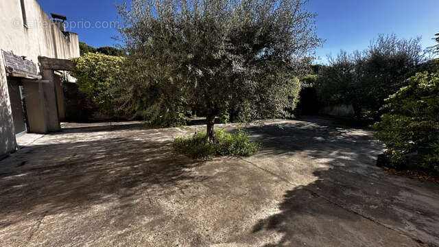 Maison à VAISON-LA-ROMAINE