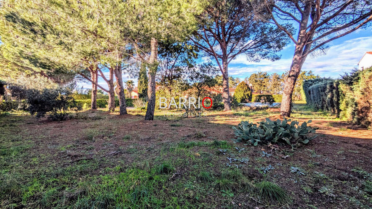 Terrain à LAROQUE-DES-ALBERES