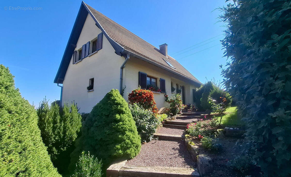 Maison à KATZENTHAL