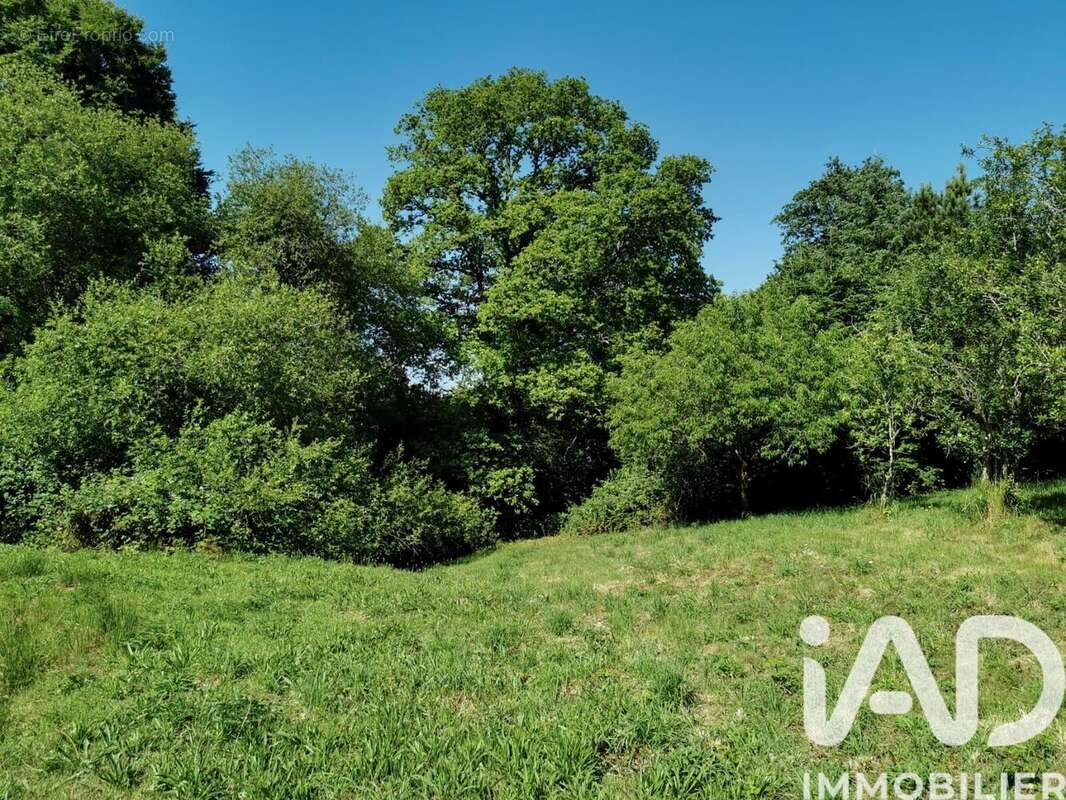 Photo 3 - Terrain à POULLAOUEN