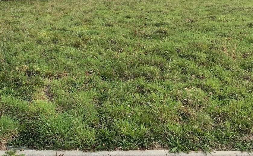 Terrain à JUVIGNY-SOUS-ANDAINE