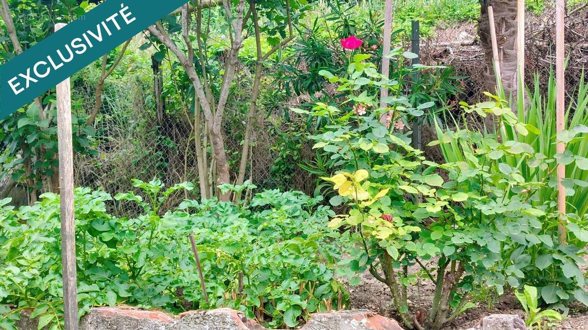 Photo 1 - Maison à VILLEMUR-SUR-TARN