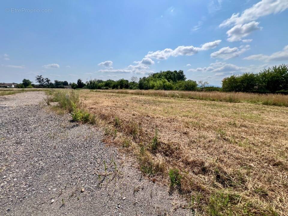 Terrain à REPLONGES