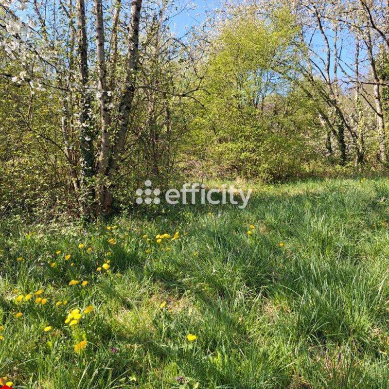 Terrain à ROUGEMONT