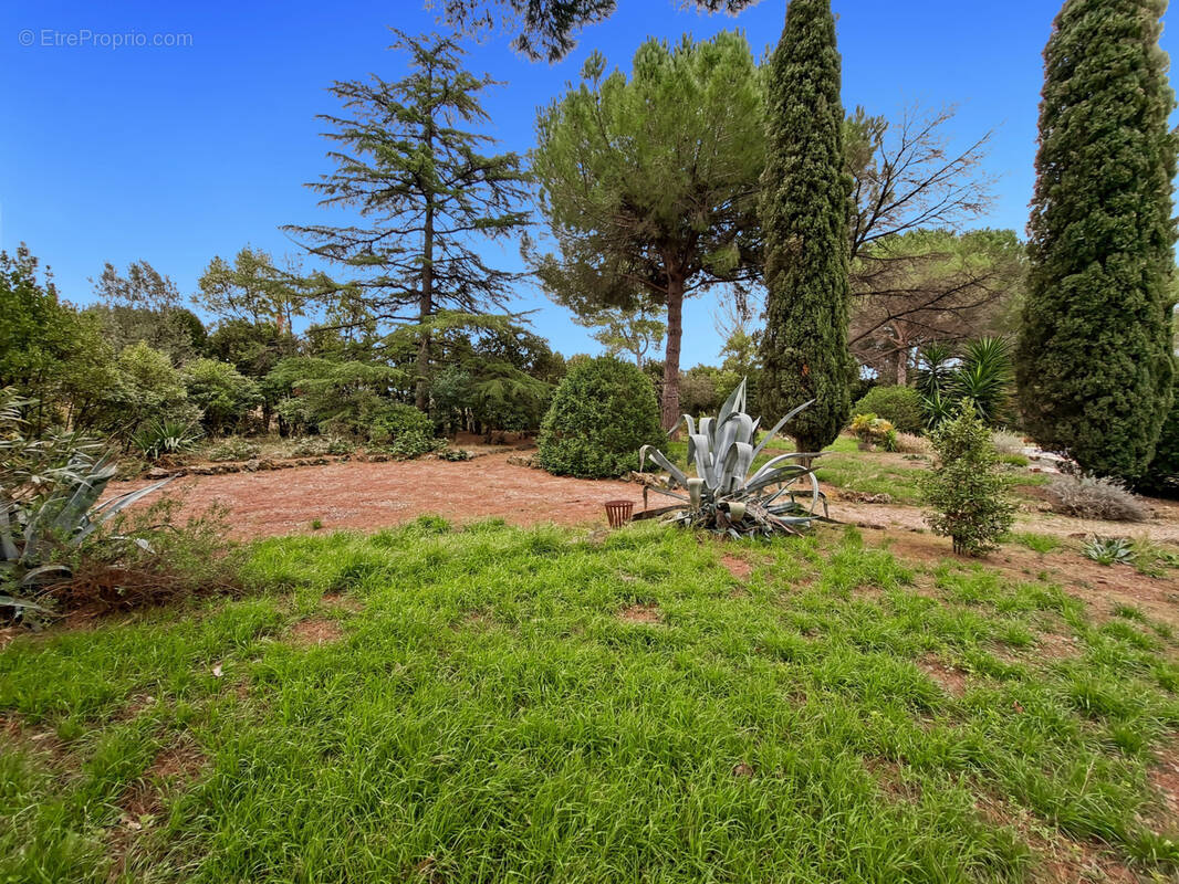 Terrain à CAZOULS-LES-BEZIERS