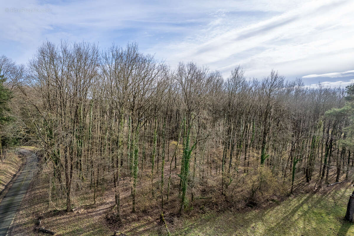 Terrain constructible - 6783 m² - Boisé - - photo 4